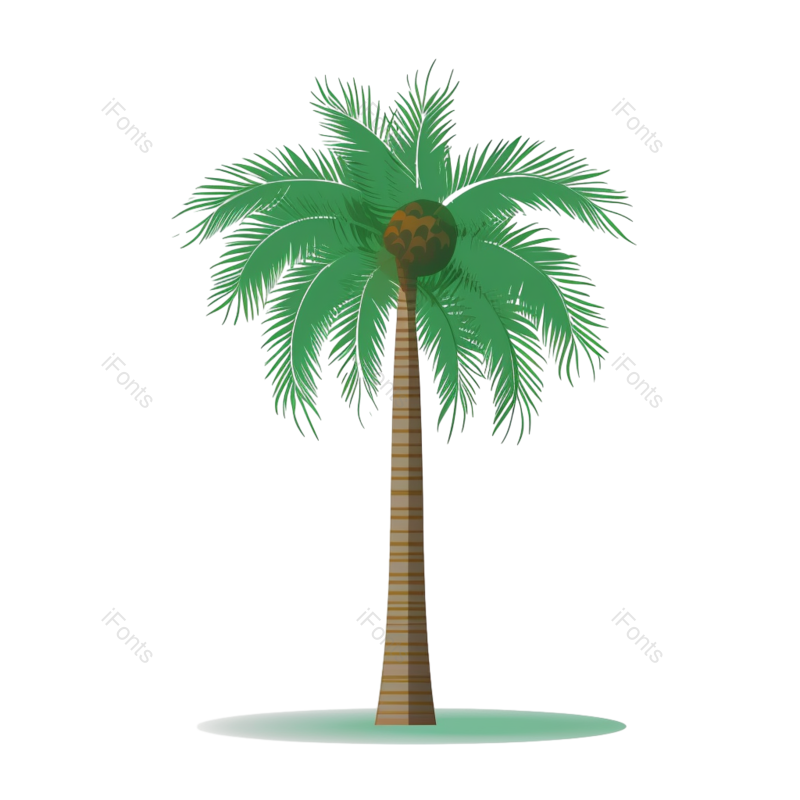 白色背景图片,橄榄元素,海滩PNG,植物免抠素材